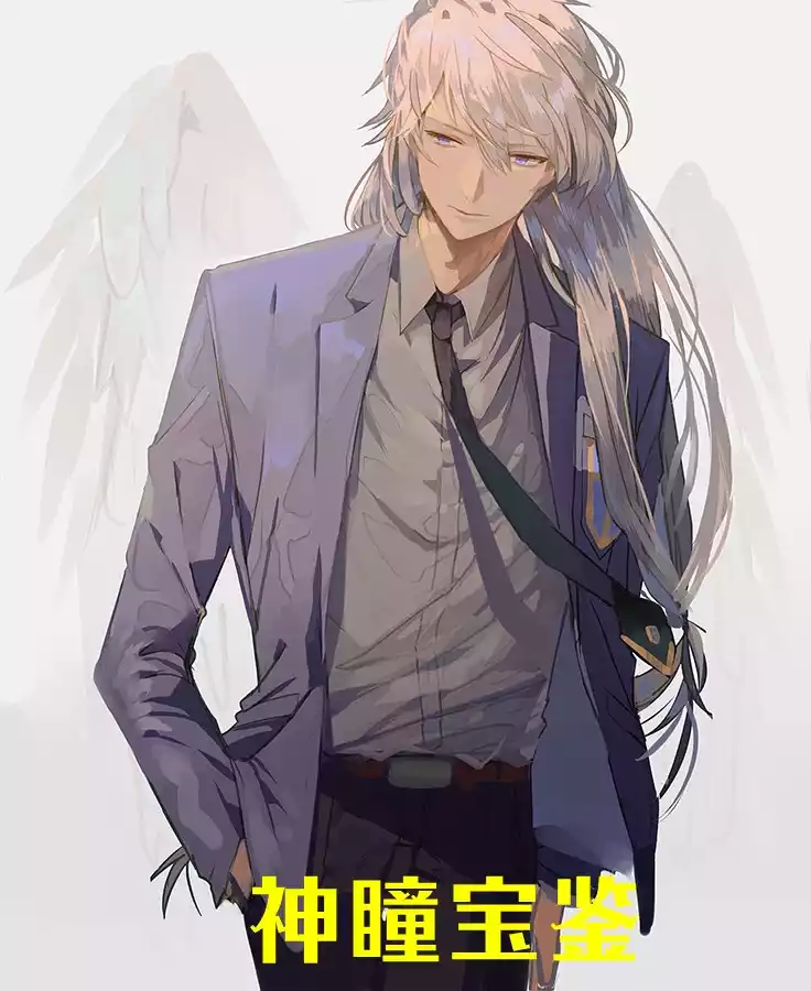 神瞳宝鉴小说
