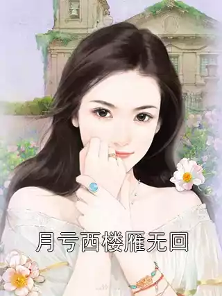 月亏西楼雁无回