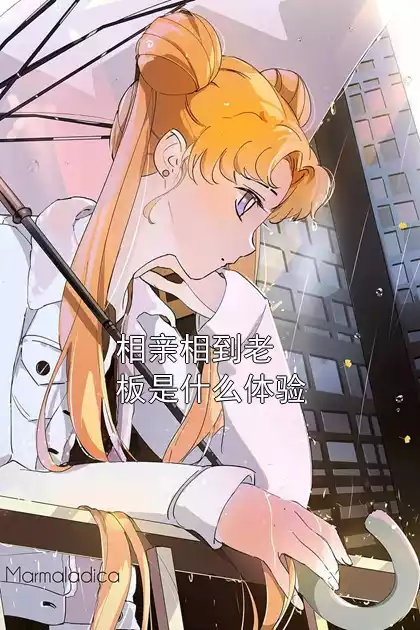 相亲相到老板是什么体验小说