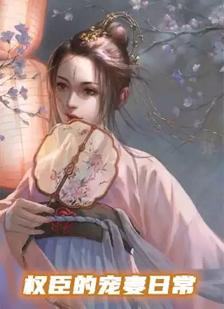 权臣的宠妻日常小说