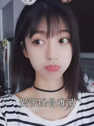 爱恨挫骨难消小说
