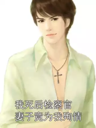 我死后检察官妻子竟为我殉情小说
