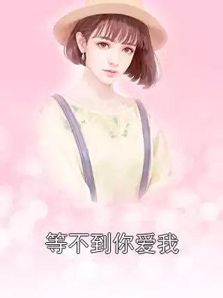等不到你爱我小说