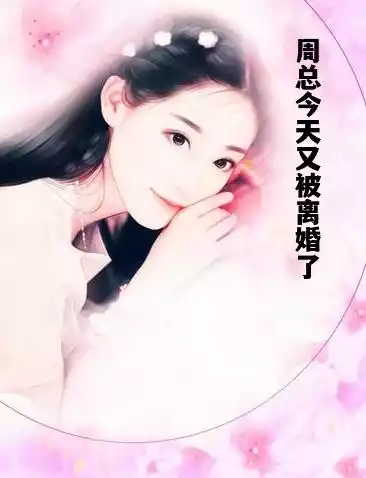 周总今天又被离婚了小说