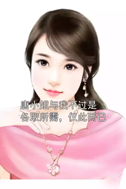 唐小姐与我不过是各取所需，仅此而已小说