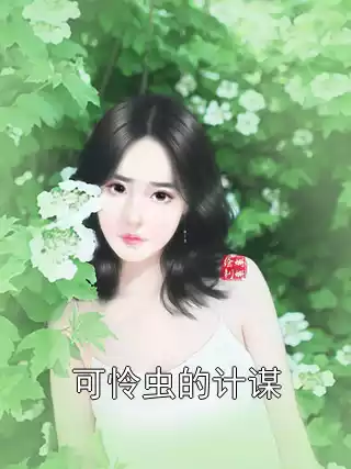可怜虫的计谋小说
