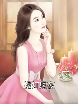 提灯照夜小说