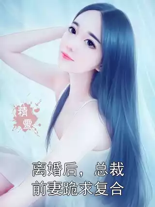 离婚后，总裁前妻跪求复合小说