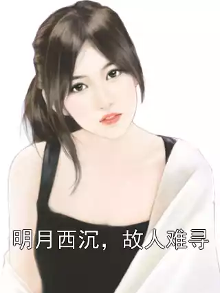 明月西沉，故人难寻小说