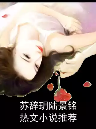 苏辞玥陆景铭热文小说推荐