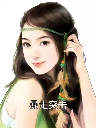 暴走突击小说