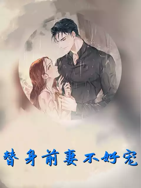 替身前妻不好宠小说