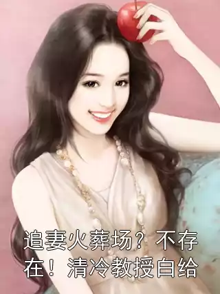 追妻火葬场？不存在！清冷教授白给小说