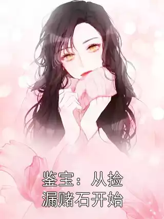 鉴宝：从捡漏赌石开始小说