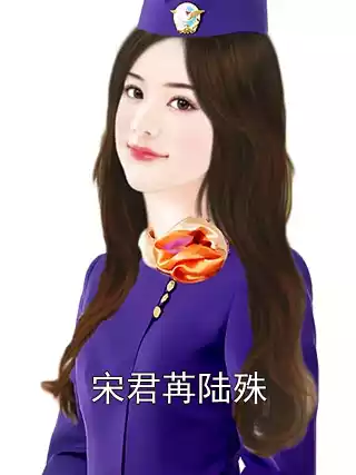 宋君苒陆殊小说