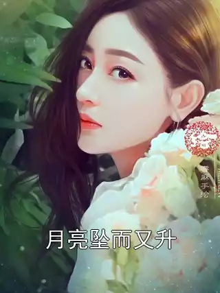 月亮坠而又升小说