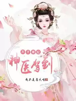 天才侧妃神医驾到小说