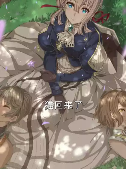 猫回来了小说