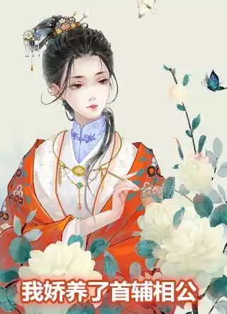我娇养了首辅相公小说