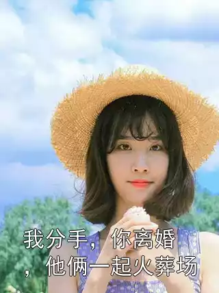 我分手，你离婚，他俩一起火葬场