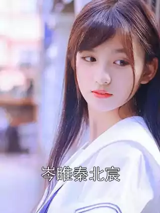 岑睢秦北宸小说