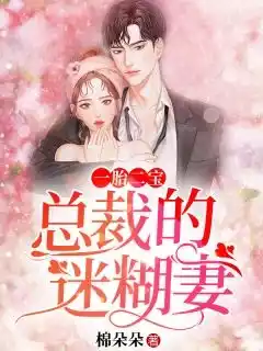 一胎二宝总裁的迷糊妻小说
