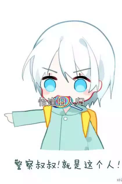 恰逢旧人归小说