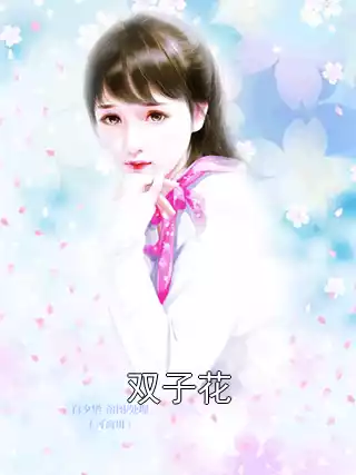 双子花小说
