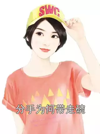 分手为何带走碗小说