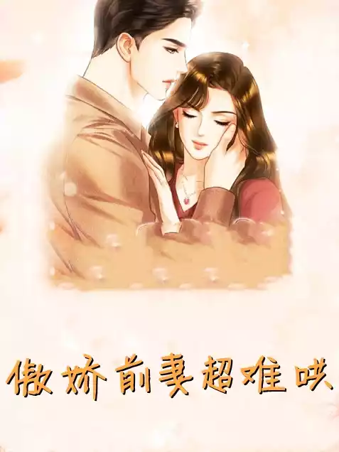 傲娇前妻超难哄