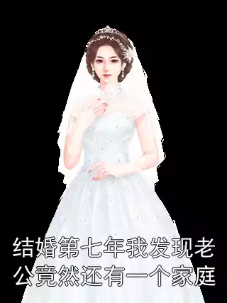 结婚第七年我发现老公竟然还有一个家庭小说