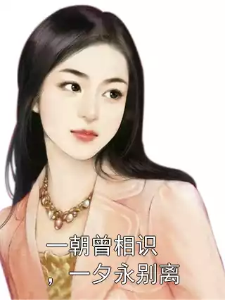 一朝曾相识，一夕永别离小说