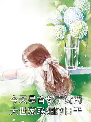 今天是首都宁沈两大世家联姻的日子小说