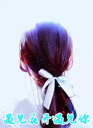 遇见花开遇见你小说