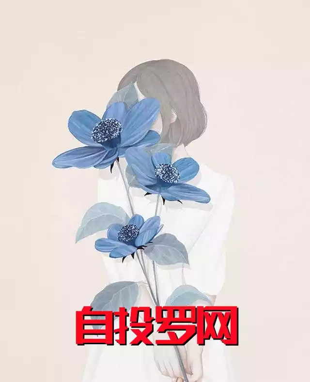自投罗网小说