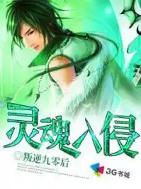 灵魂入侵小说