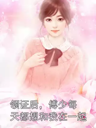领证后，傅少每天都想和我在一起小说