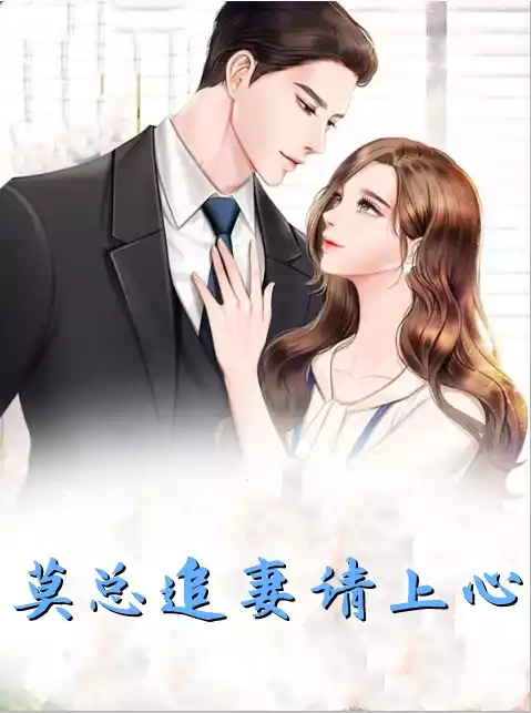 莫总追妻请上心小说