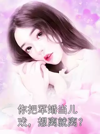 你把军婚当儿戏，想离就离？小说