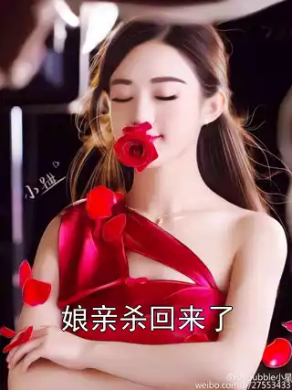 娘亲杀回来了小说