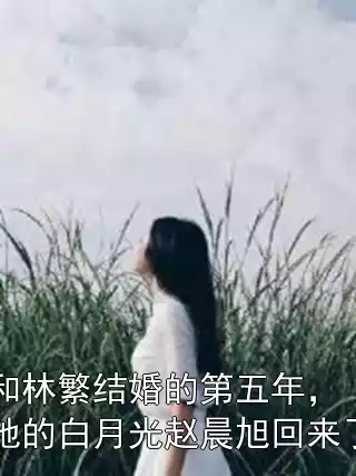 和林繁结婚的第五年，她的白月光赵晨旭回来了小说