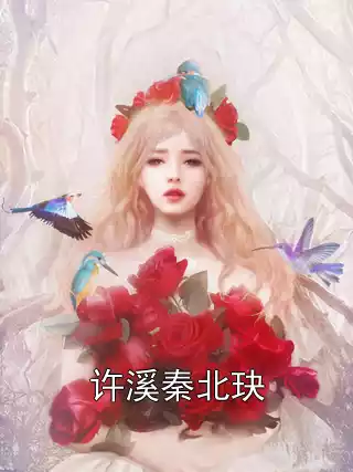 许溪秦北玦小说