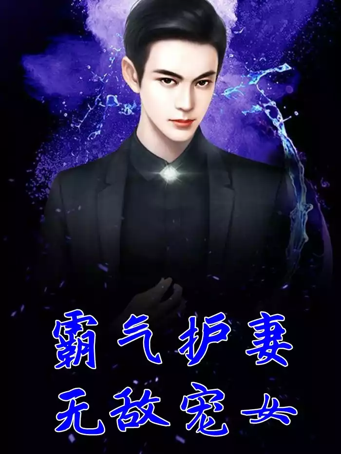 霸气护妻无敌宠女小说
