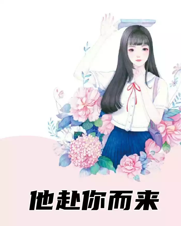 他赴你而来小说
