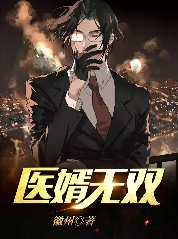医婿无双小说