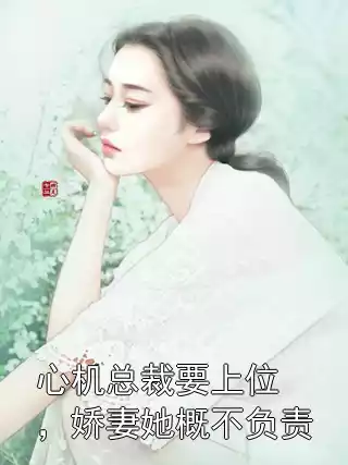心机总裁要上位，娇妻她概不负责小说