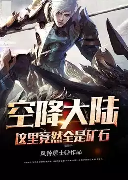 空降大陆这里竟然全是矿石小说