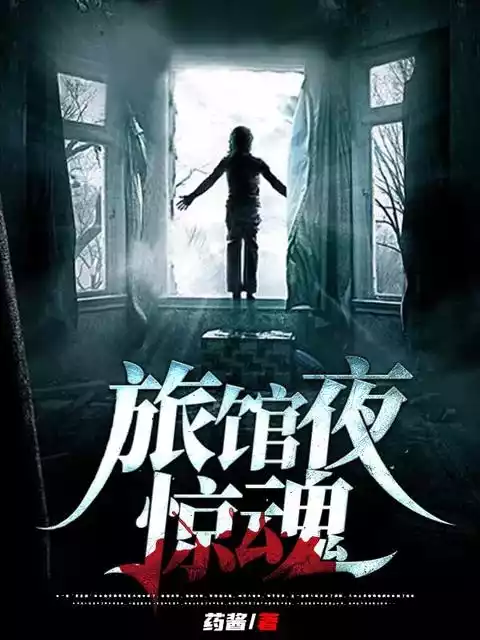 旅馆夜惊魂小说