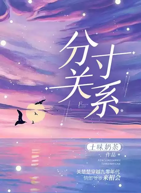 分寸关系小说