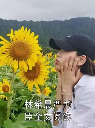 林希晨严书臣全文阅读小说